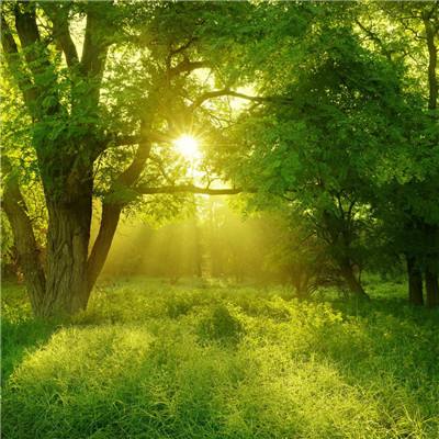 云开·体育官方网站