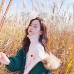 华体会登录手机版下载手机版